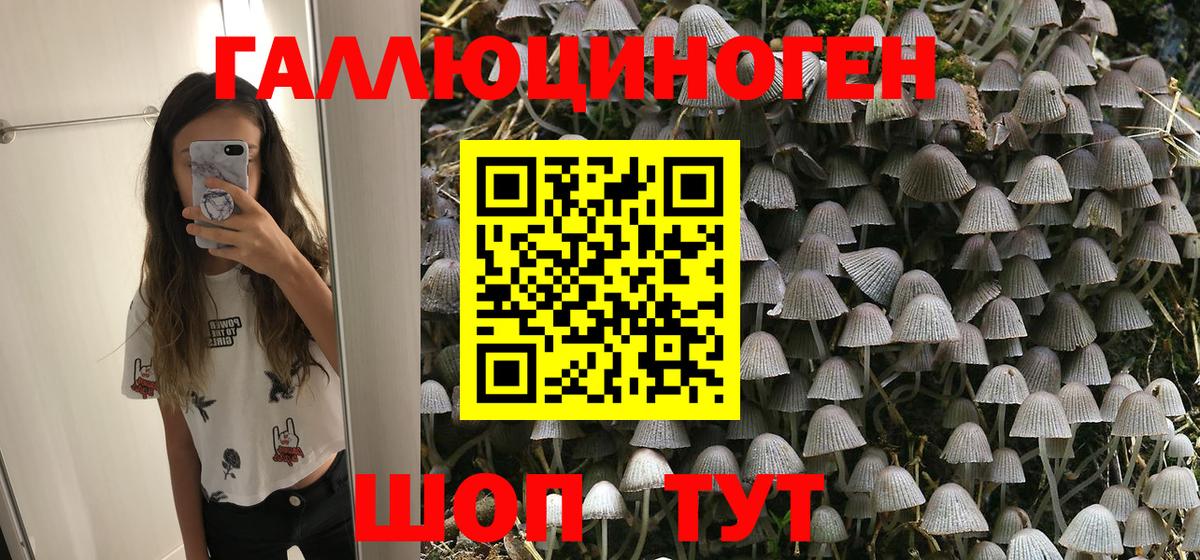 Галлюциногенные грибы GOLDEN TEACHER  Вход с VPN  Мичуринск 