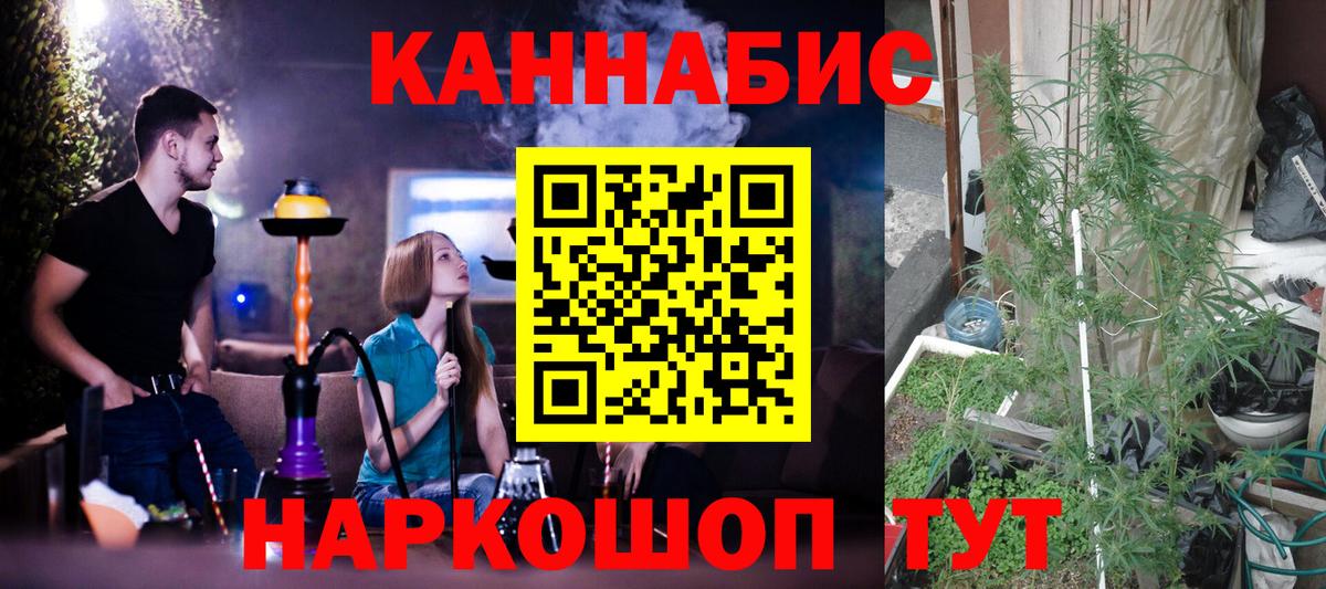 Бошки марихуана Amnesia Мичуринск